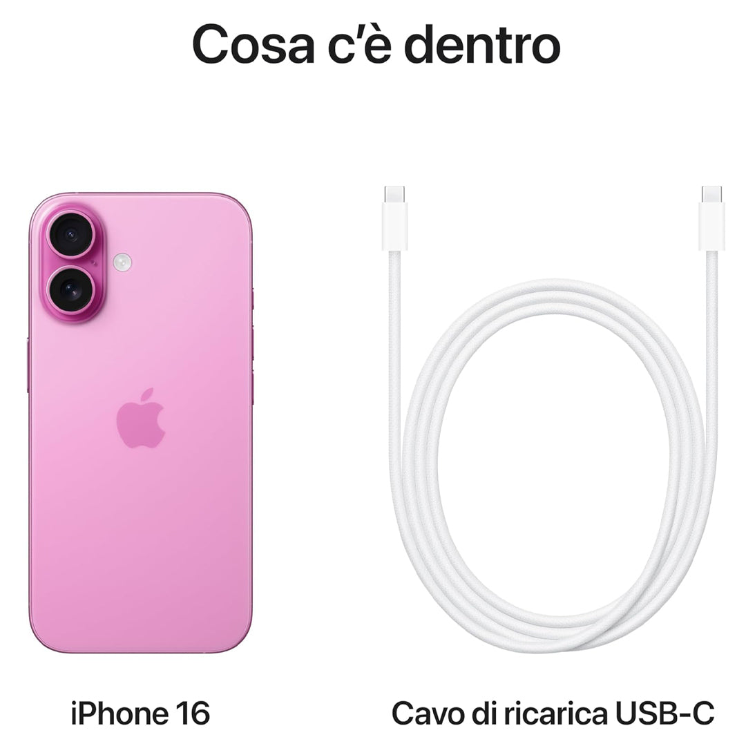 33949511