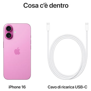 33949511