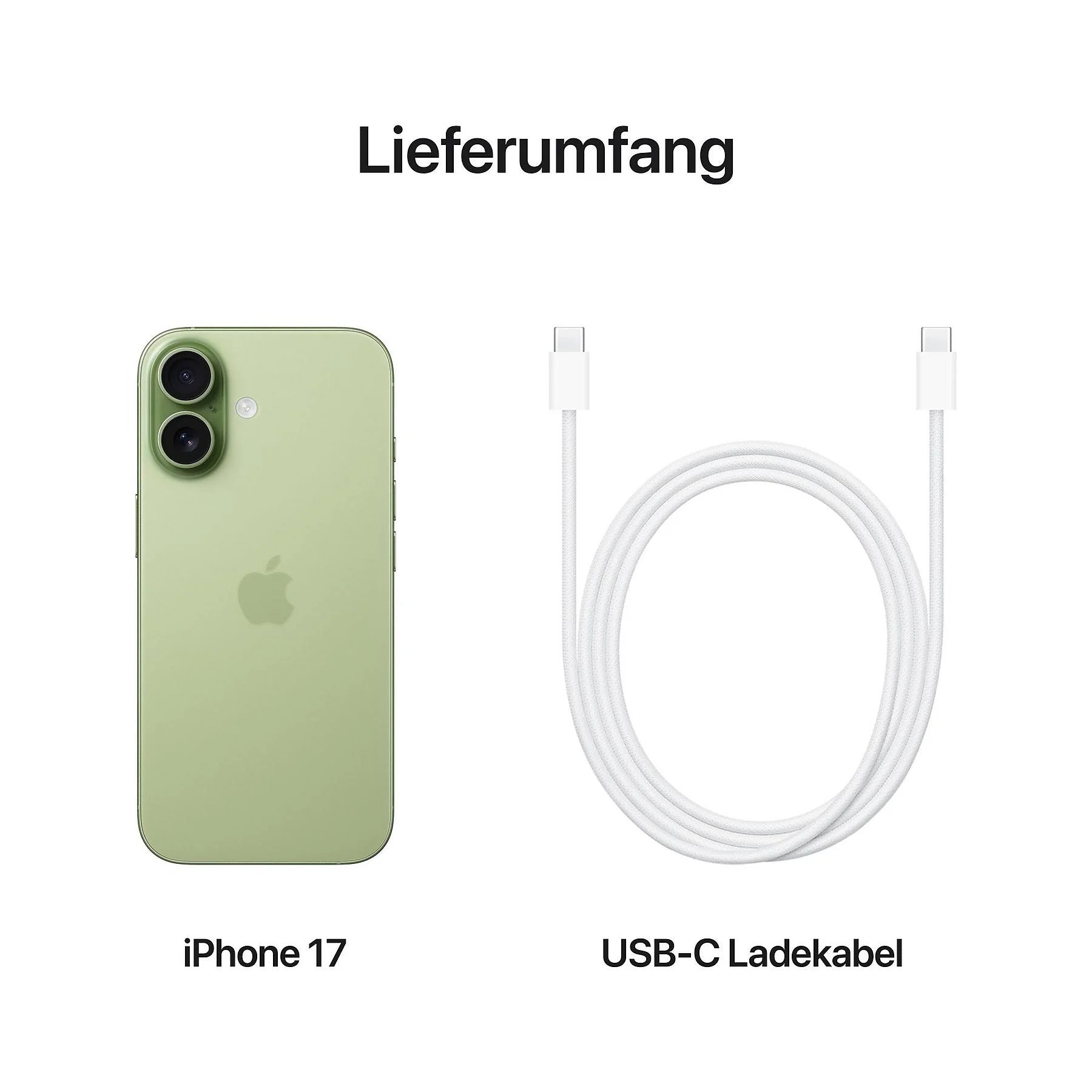 38391842