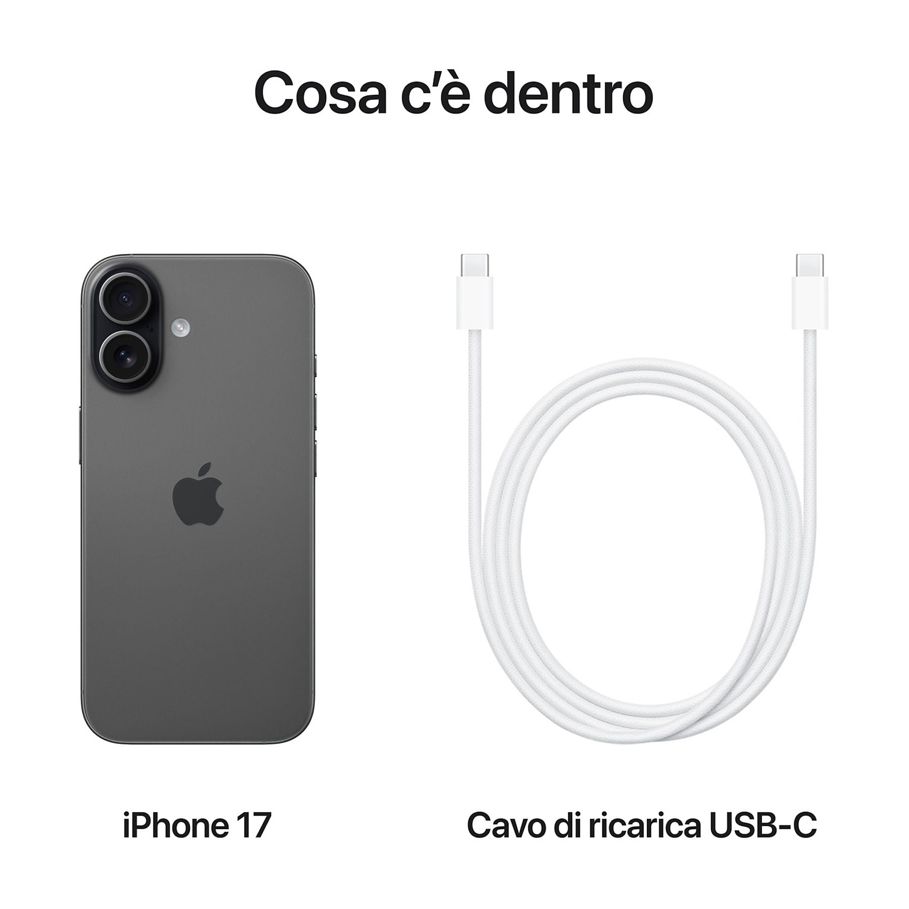 40697199
