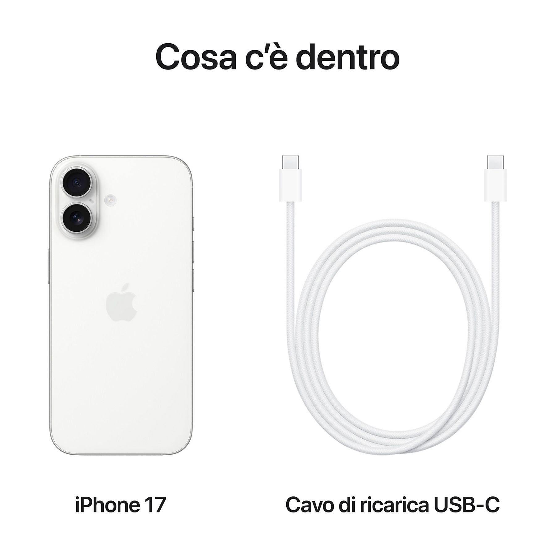 40697524