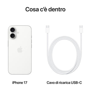 40697524