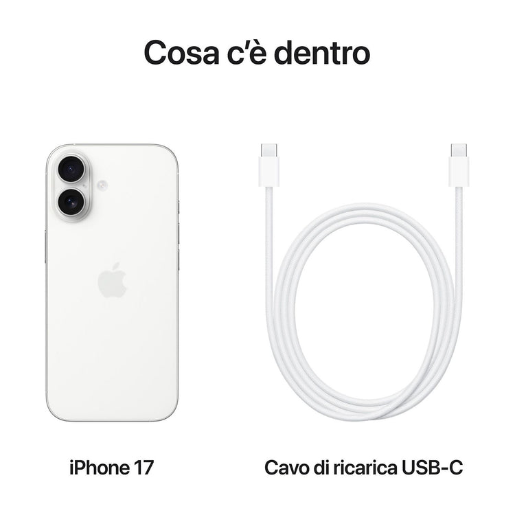 40697524