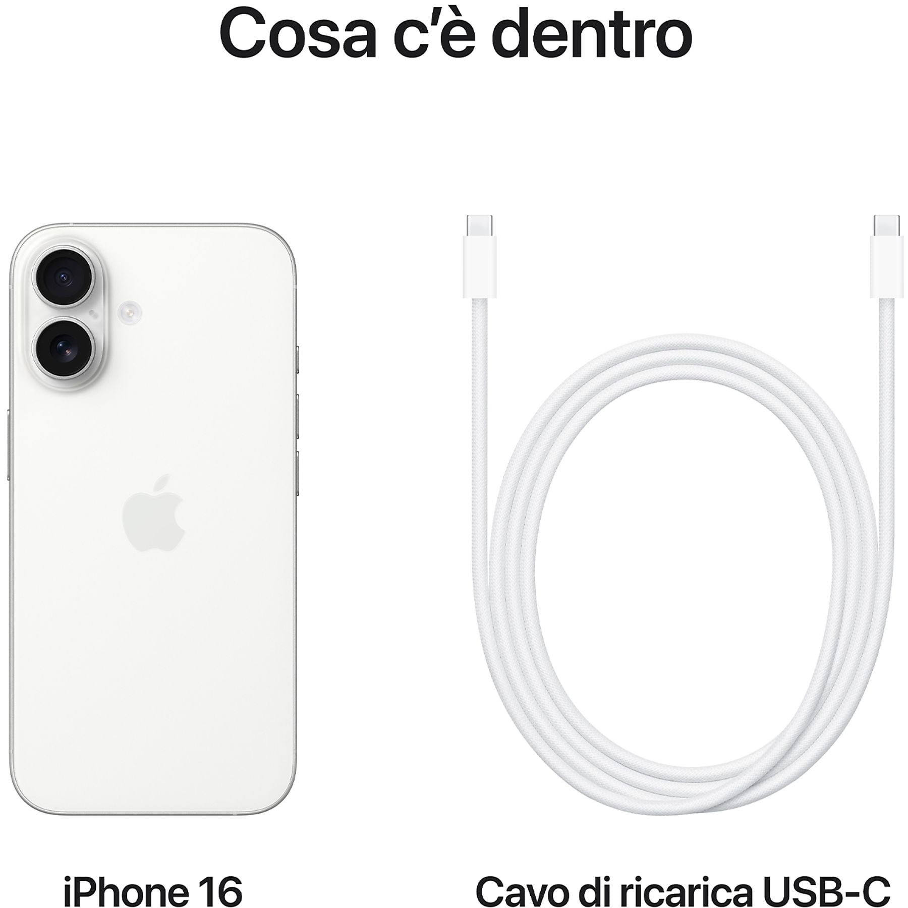 40697934