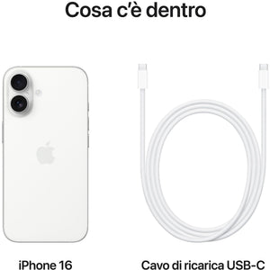40697934