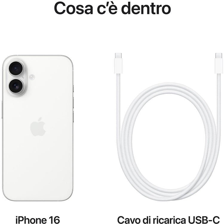 40697934