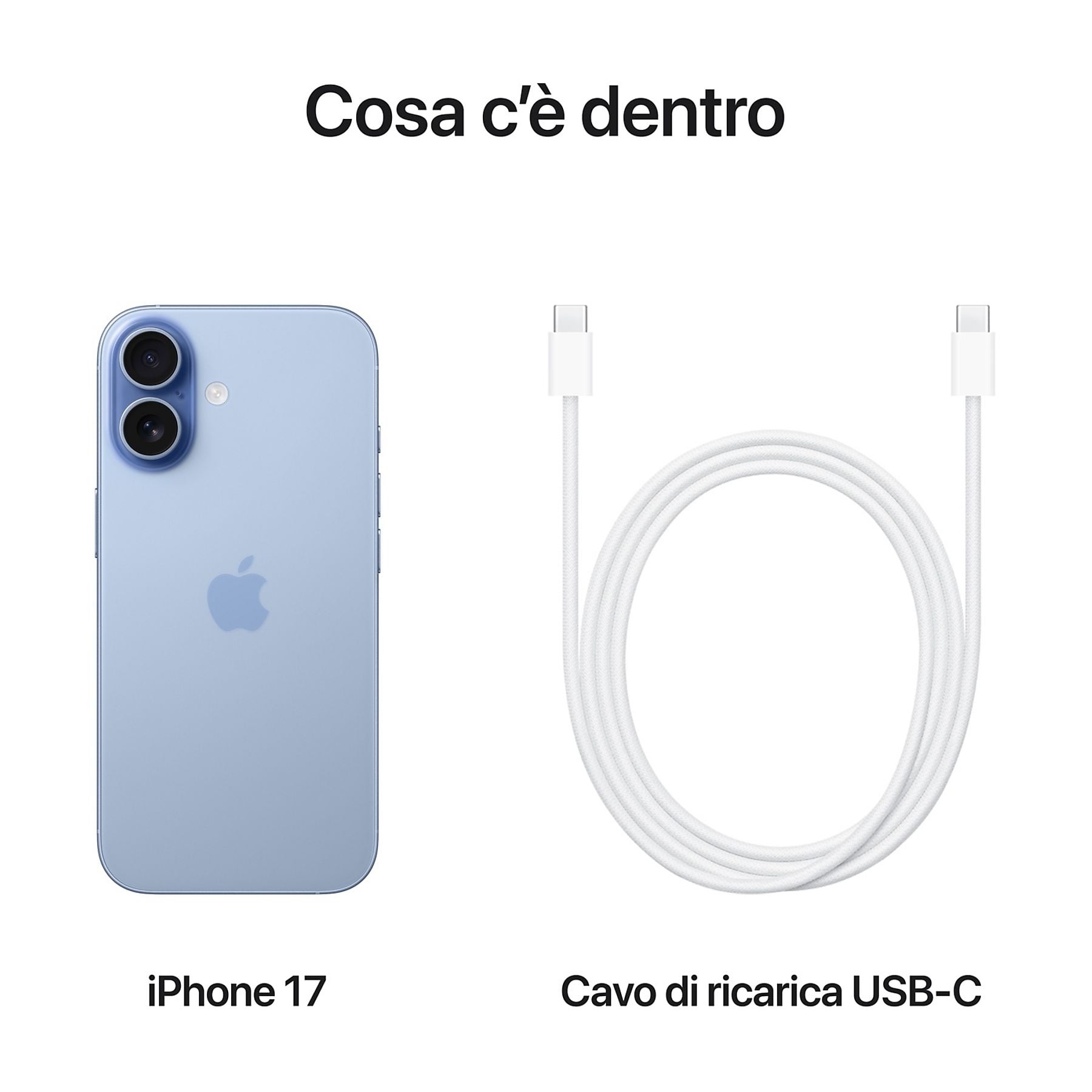 40698185