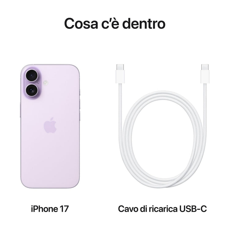 40698971