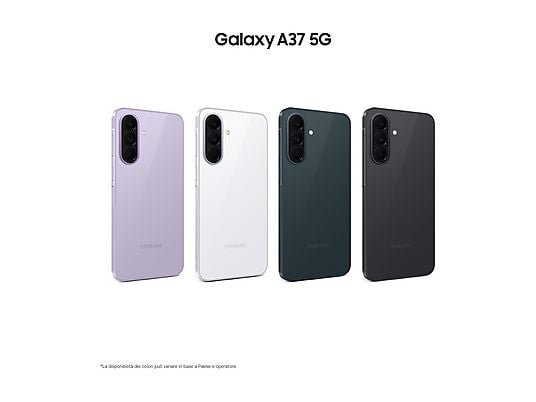 41058641