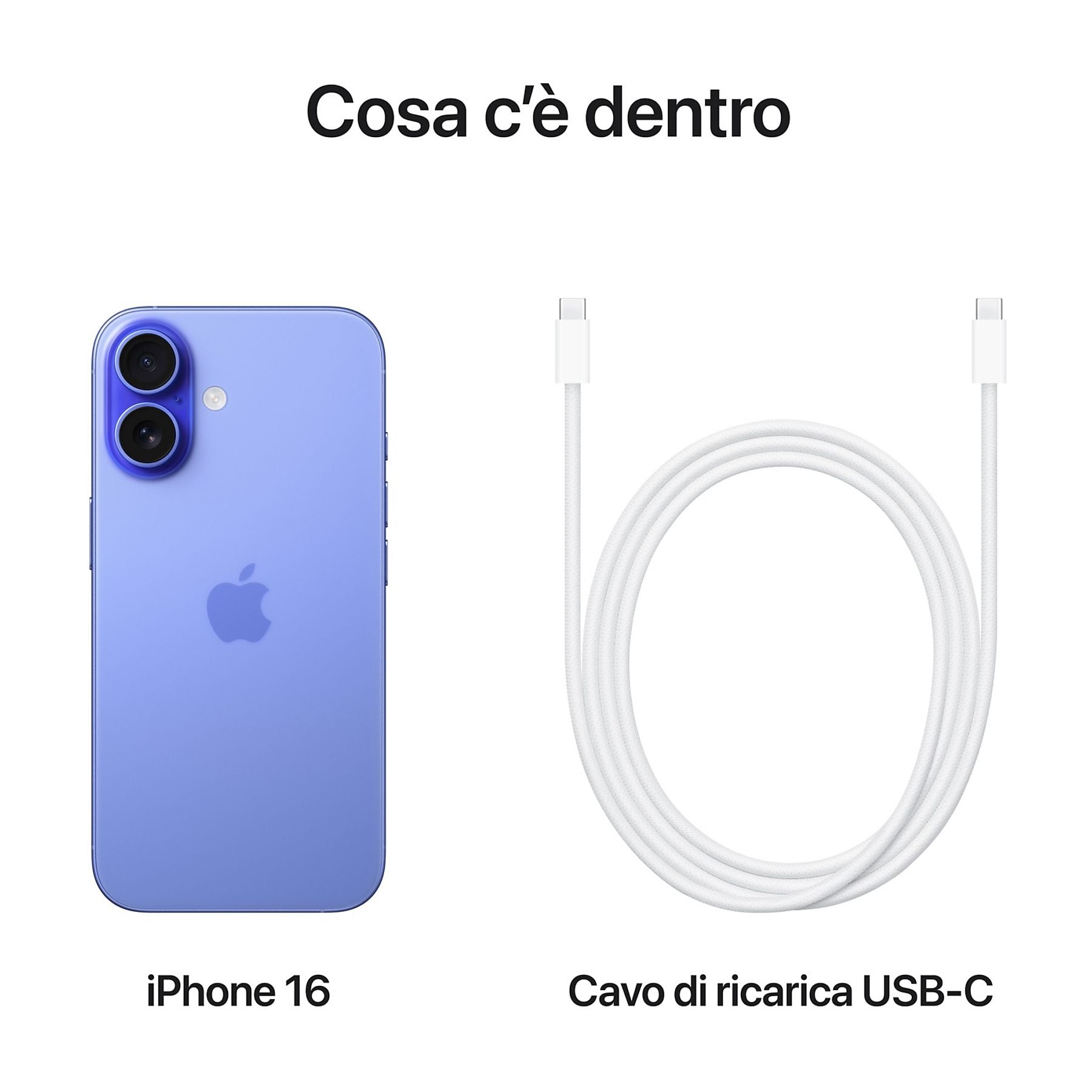 43962782