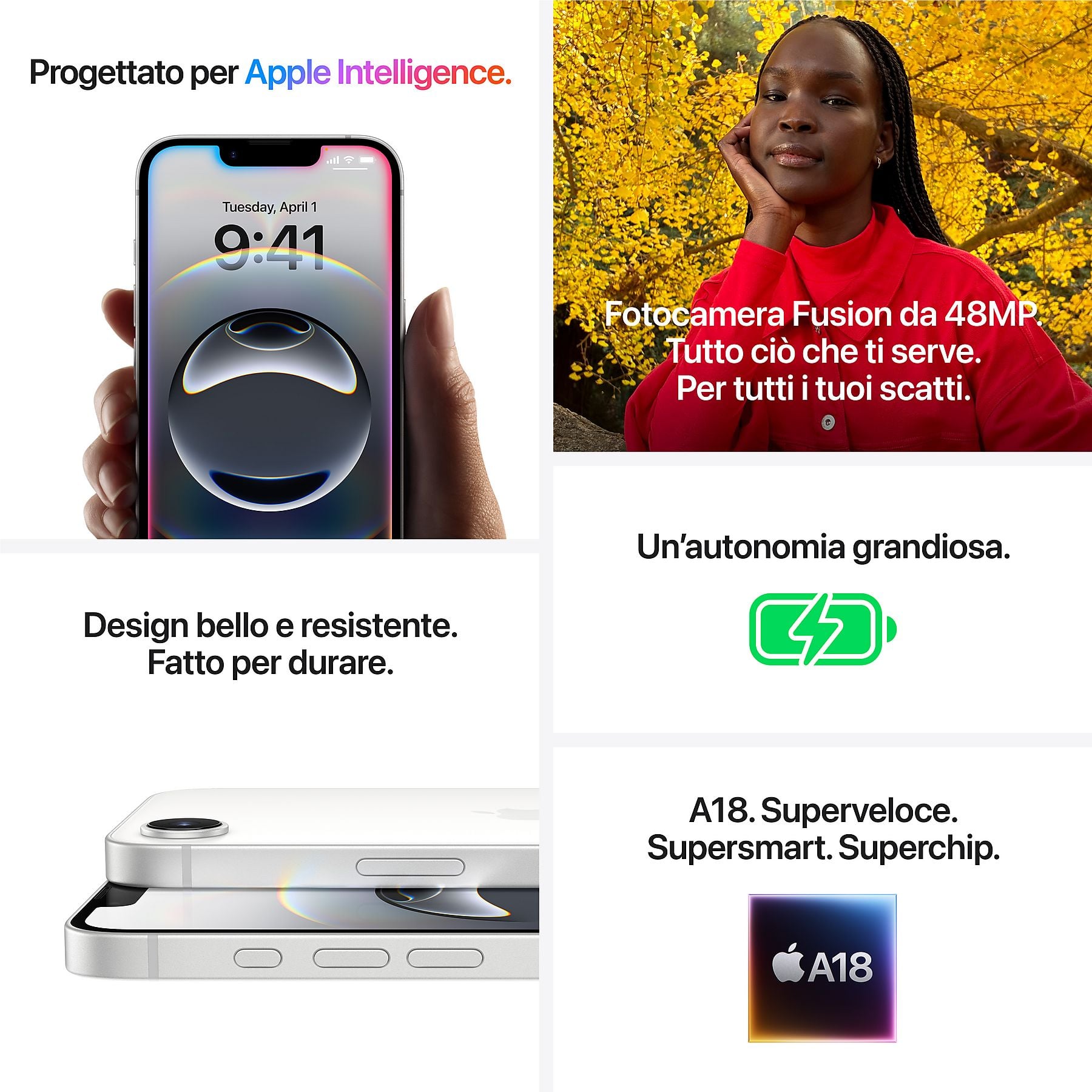 44303632