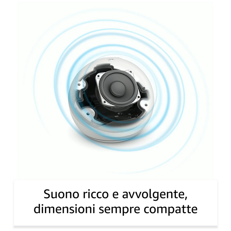 47030479