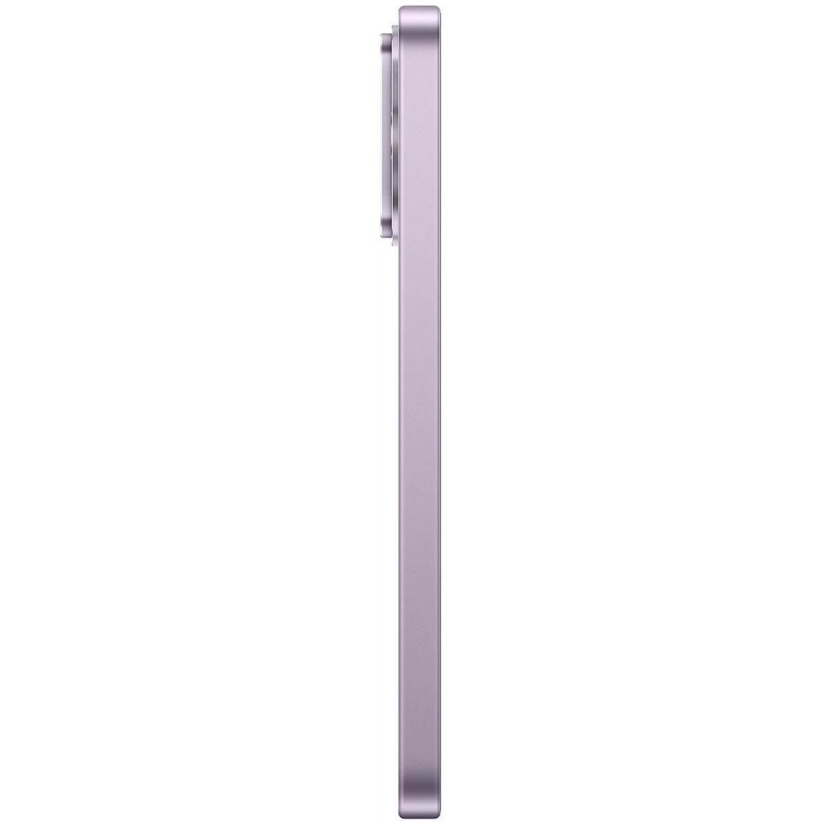 50259067