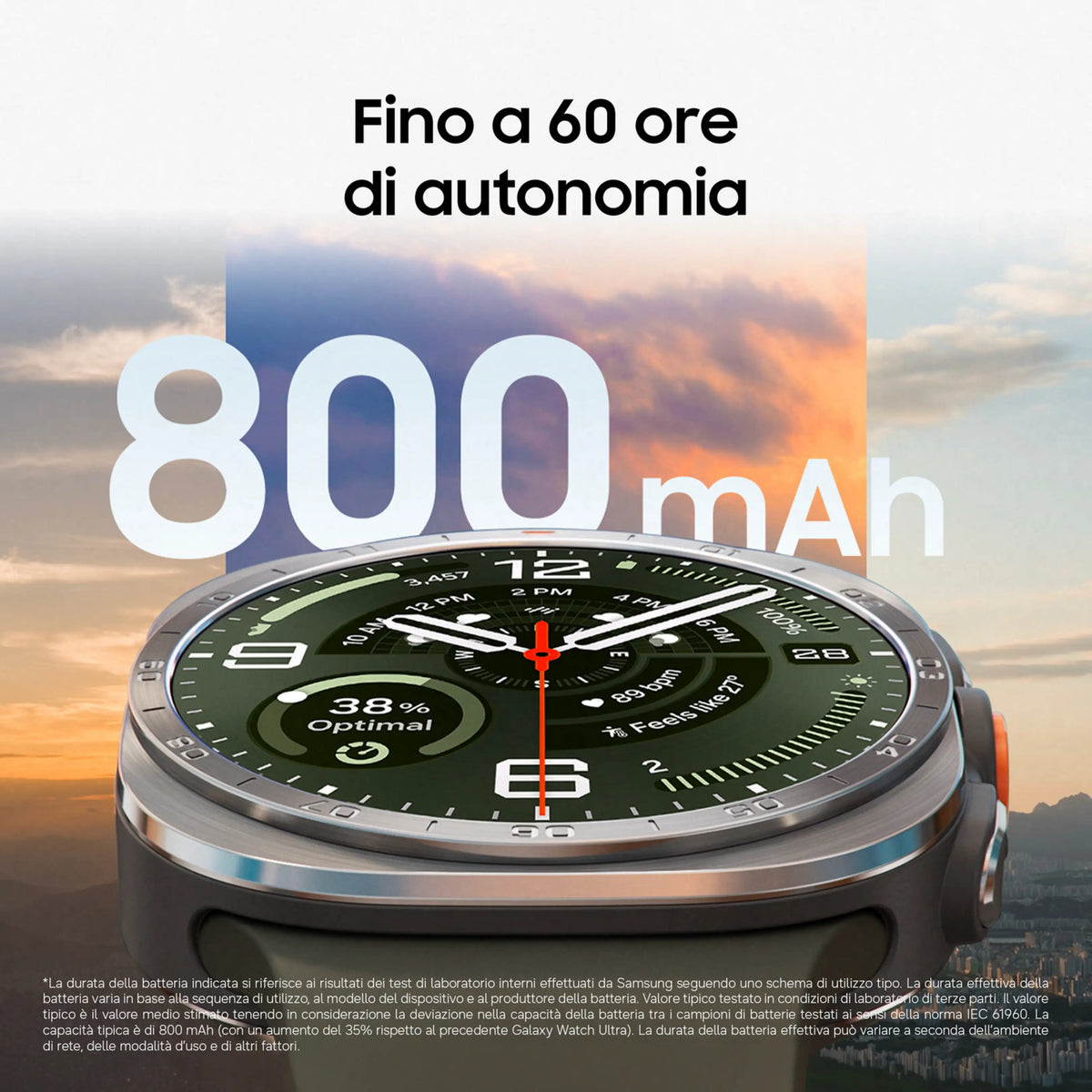 50594443